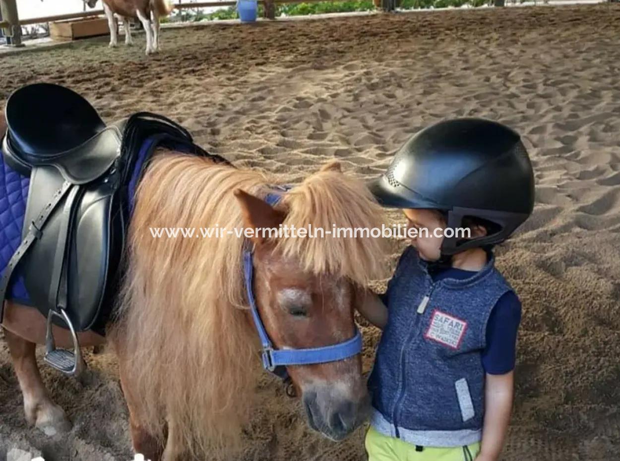 Traumhafte-2-1-Maisonette-Wohnung-Mit-Luxusausstattung-In-Golbasi-Ankara-Turkei