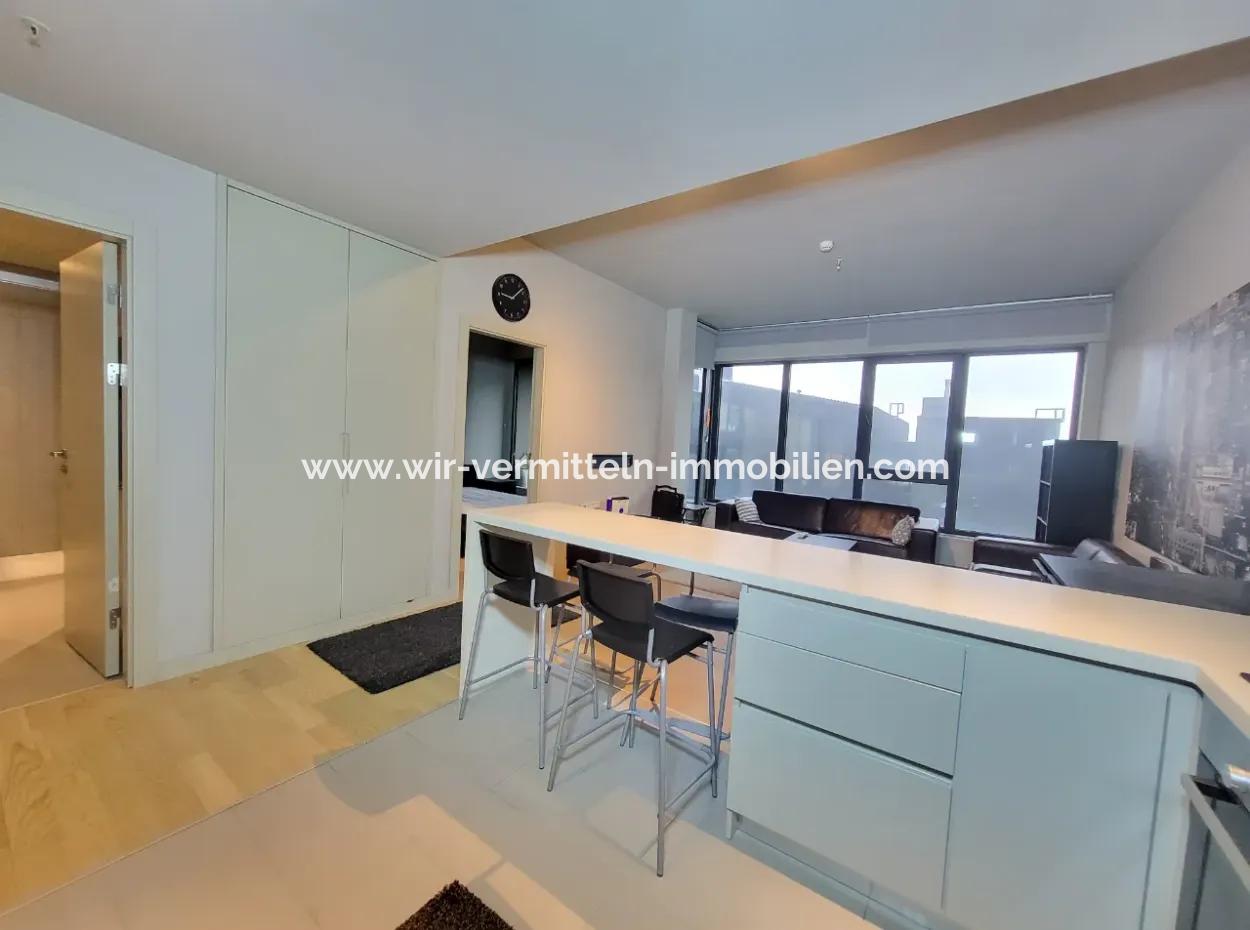 Golbasi - Ankara - Turkey Amazing 1+1 Lake View Apartment For Rent With Luxury Amenities
