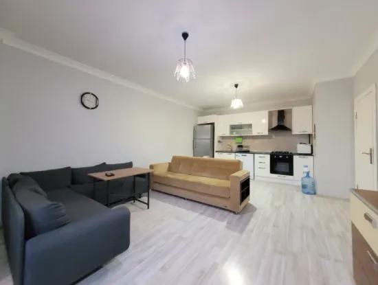 Please click here to watch the video.