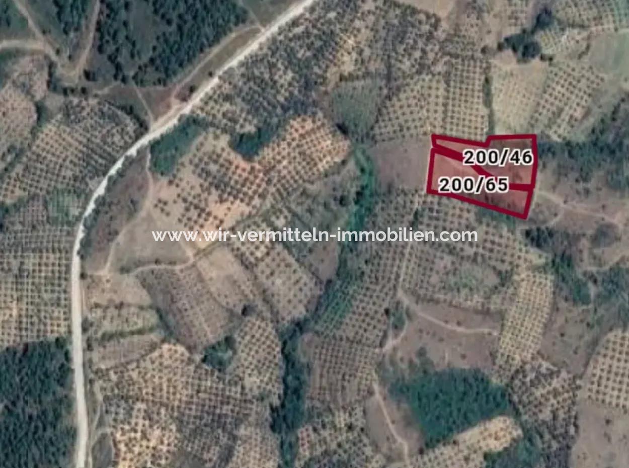 Kaz Dağları 9068 M2 Tarla Ekoturizm Alanı 