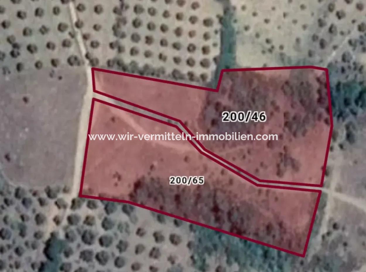 Kaz Dağları 9068 M2 Tarla Ekoturizm Alanı 