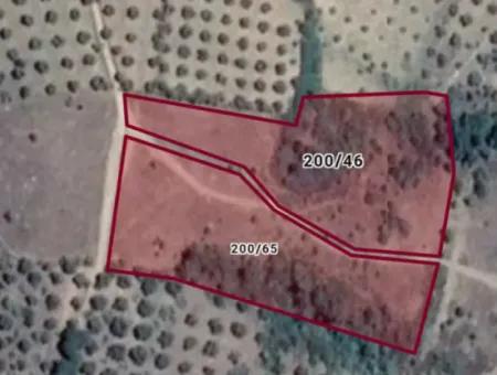 Kaz Dağları 9068 M2 Tarla Ekoturizm Alanı 